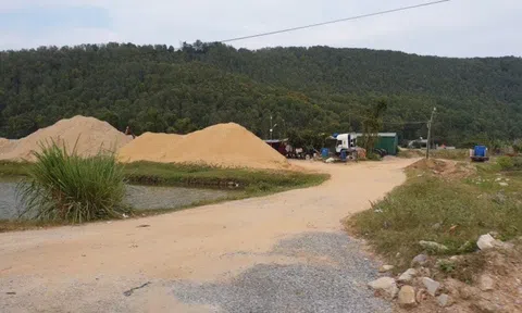 Núi cát “trồng” cạnh QL 1A (Thanh Hóa): Chính quyền địa phương “bất lực” hay nể nang “quan hệ”?