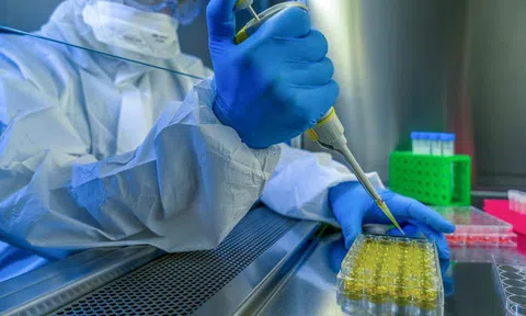 Phát hiện virus lạ gây chết người ở Bolivia