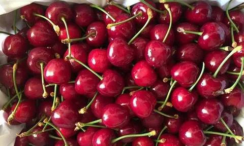 Lộ diện loại quả khiến chị em "trẻ mãi không già"