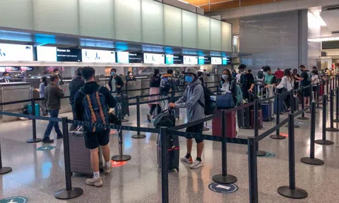 Đưa gần 360 công dân Việt Nam từ Nhật Bản về nước