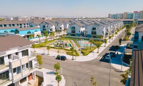 Nhiều khách hàng tin chọn Sapphire GEM ngay trong dịp đầu năm