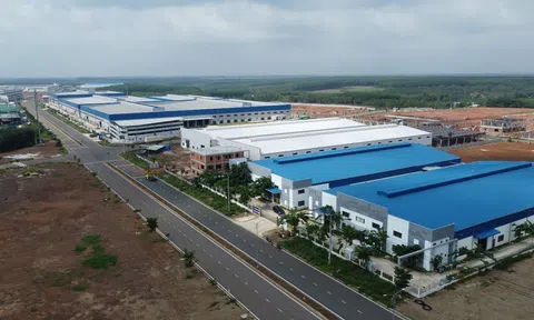Thành Phương Real: Kiến tạo hệ sinh thái công nghiệp đa ngành