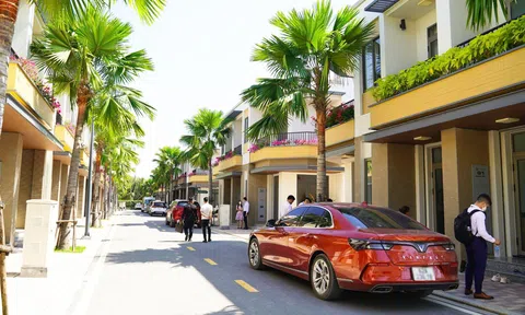 Thị trường thanh lọc, cơ hội chỉ đến với sản phẩm hội tụ giá trị thật