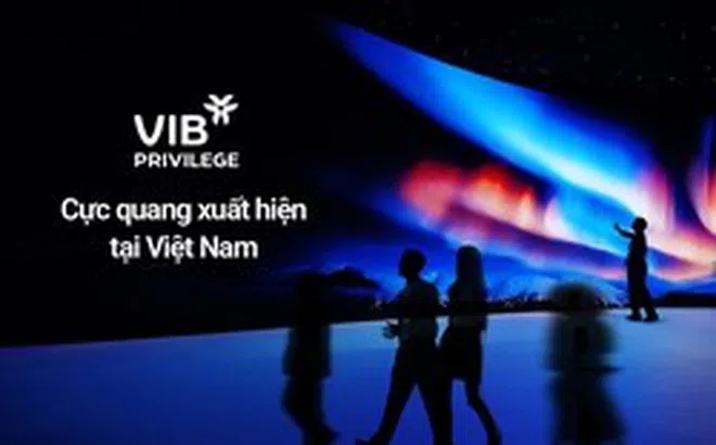 Trải nghiệm đặc quyền dành riêng cho khách hàng ưu tiên của VIB