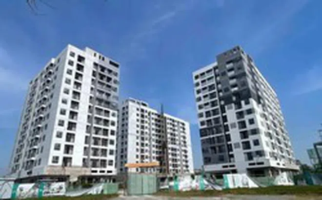 Đề xuất xây căn hộ nhỏ 15 m2 phục vụ nhu cầu của người độc thân hoặc hộ gia đình ít người